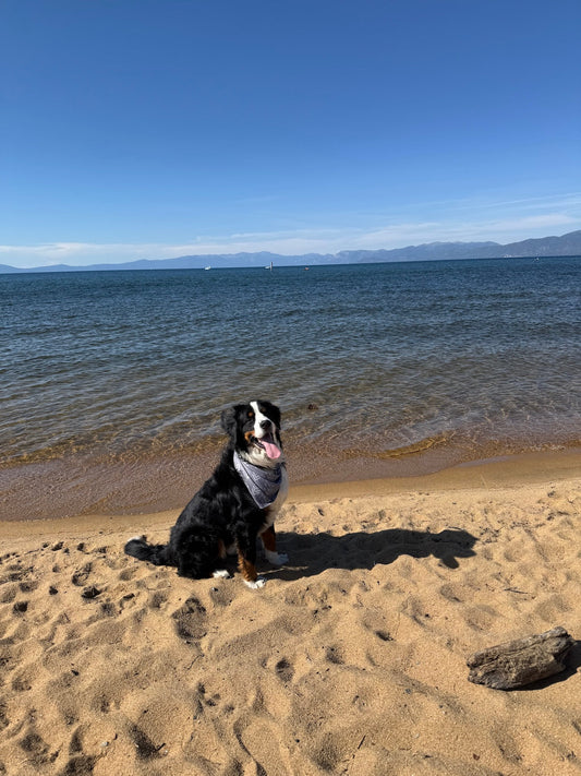 EVENT: Berner Crew Huddle, September 21, 2025, South Lake Tahoe