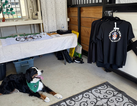 NorCal rescue merch now available in South Lake Tahoe!